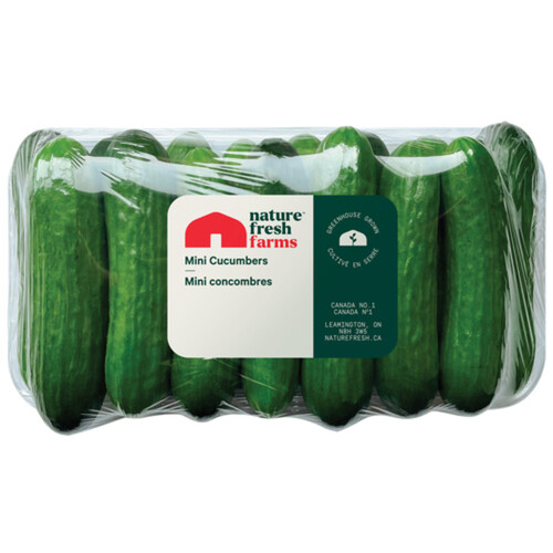 Cucumbers Mini Seedless 1 Pack