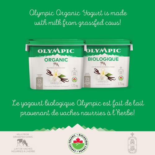 Olympic Organic 3% Yogurt Vanilla 1.75 kg