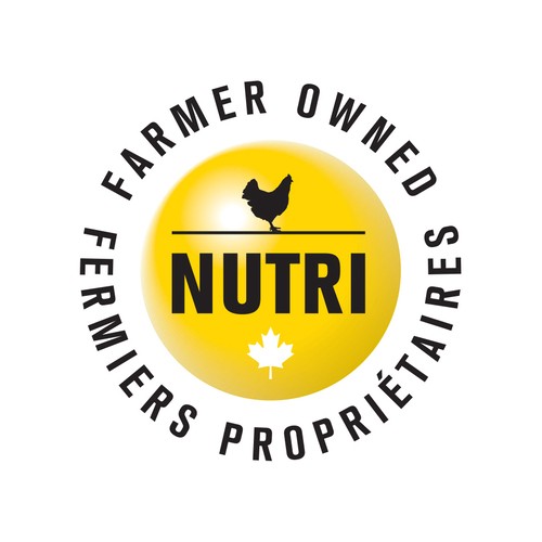 Nutri White Eggs Restaurant Style Large 12 Count