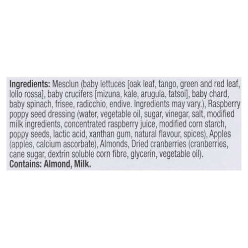 Fresh Attitude Salad Kit Spring Mix 318 g