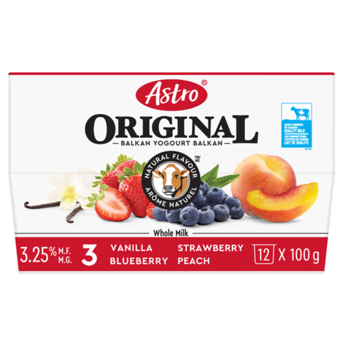 Astro Original Yogurt Vanilla Blueberry Peach Strawberry 12 x 100 g