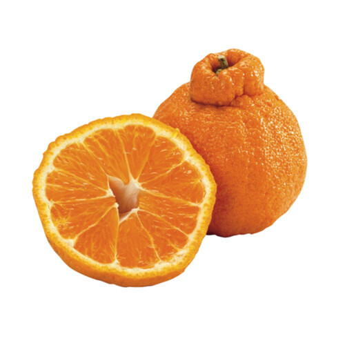 Sumo Orange