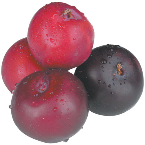 Black/Red Plums 907 g