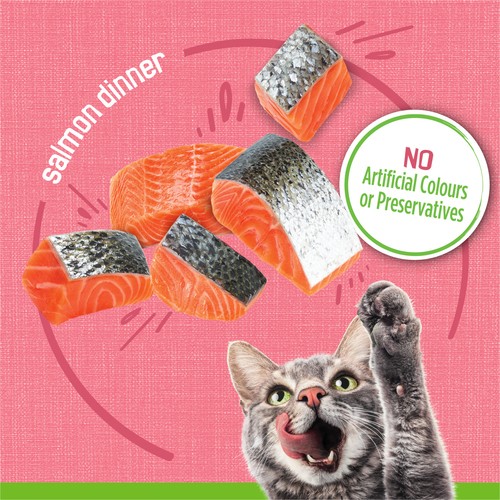 Friskies Wet Cat Food Pâté Salmon Dinner 156 g