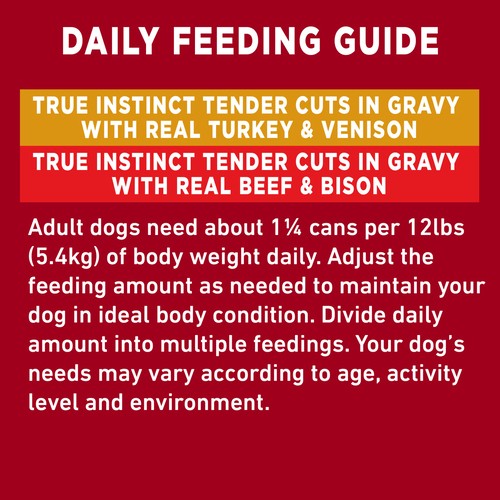 Purina ONE Wet Dog Food Tender Cuts in Gravy Variety Pack 6 x 368 g