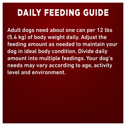 Purina ONE Wet Dog Food Classic Ground Chicken & Brown Rice Entre 368 g