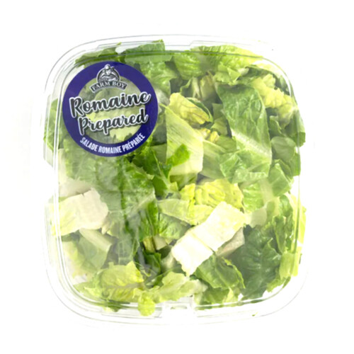 Farm Boy Prepared Romaine Salad 325 g