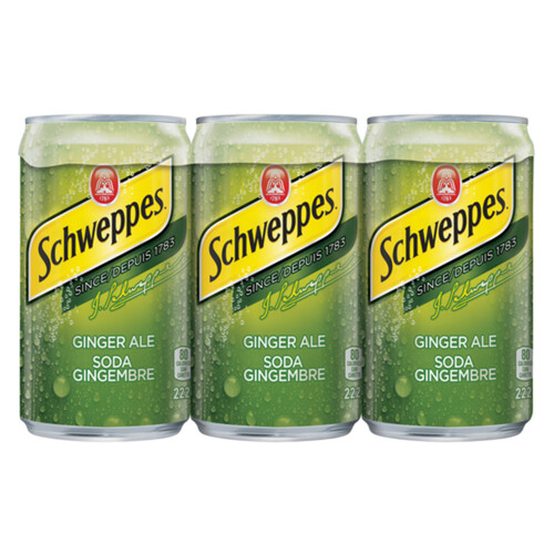 Schweppes Ginger Ale 6 x 222 ml (cans)