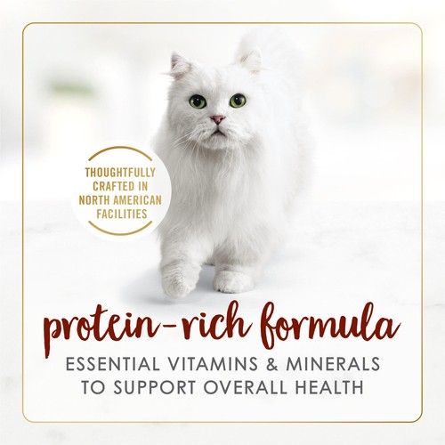 Fancy Feast Wet Cat Food Pate Beef Flavour 85 g