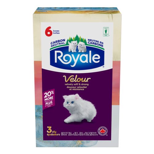 Royale Facial Tissues 3-Ply 6 Boxes x 88 Sheets