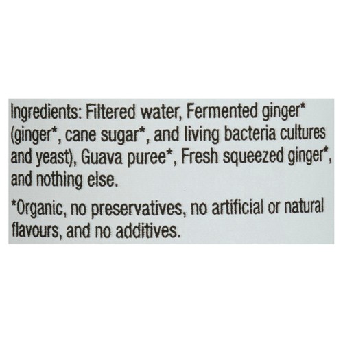 Gutsy Sparkling & Alive Beverage Guava Ginger Beer 355 ml