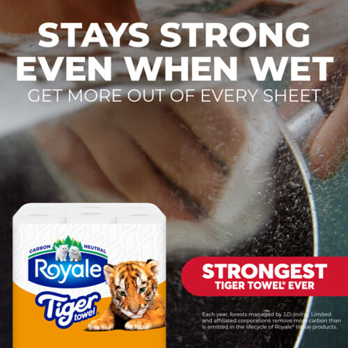 Royale Paper Towel 2-Ply 3 Rolls x 98 Sheets