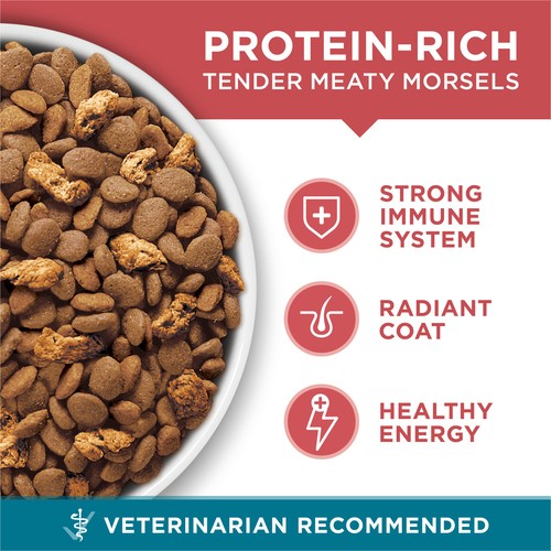 Purina ONE Microbiome Balance Dry Cat Food Salmon & Rice Formula 3 kg