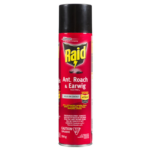 Raid Ant Roach Earwig And Crawling Insect Killer Spray 350 g