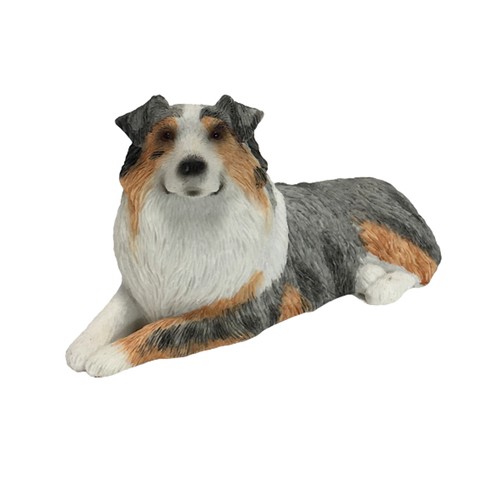 Sandicast Australian Shepherd 