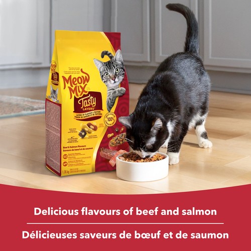Meow Mix Dry Cat Food Tasty Layers Beef Salmon 1.36 kg 