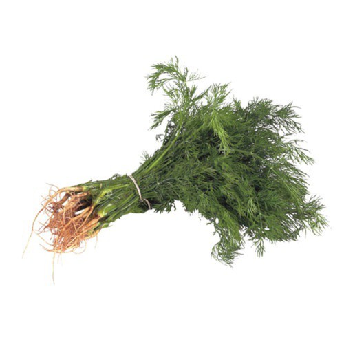 Dill 1 Bunch