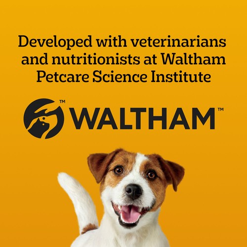Pedigree Dentastix Oral Care Medium Adult Dog Treats Beef 608 g