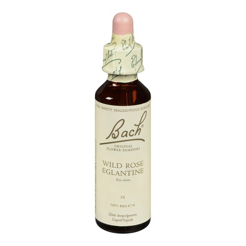Bach Flower Remedy Wild Rose 20 ml
