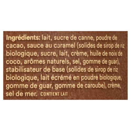 Righteous Gelato Gluten-Free Gelato Dark Chocolate Caramel Sea Salt 562 ml
