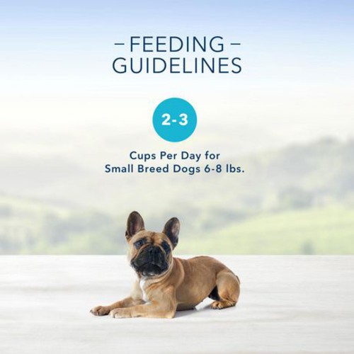 Blue Buffalo Delights Wet Dog Food Grilled Chicken Flavor 99 g