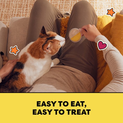 Temptations Lickable Spoons Adult Cat Treats Tasty Chicken & Savoury Salmon 40 g
