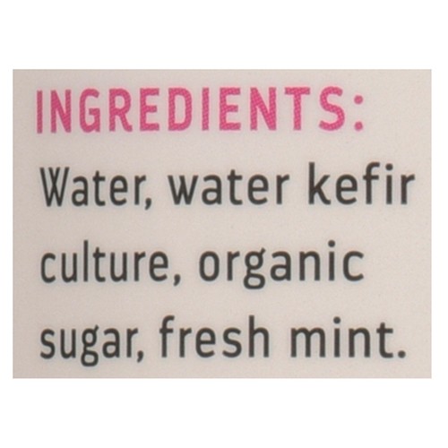Squamish Water Kefir Company Sparkling Kefir Water Mojito Mint 355 ml (can)