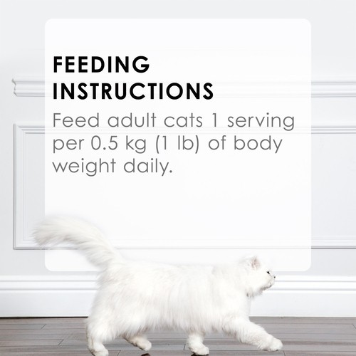 Fancy Feast Petites Wet Cat Food 79.4 g x 12