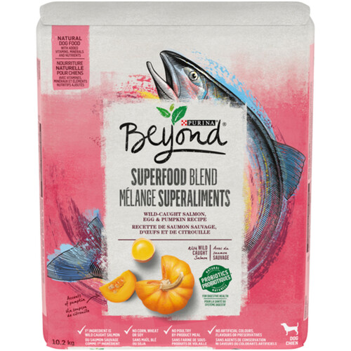 Beyond Superfood Dry Dog Food Salmon Egg & Pumpkin 10.2 kg