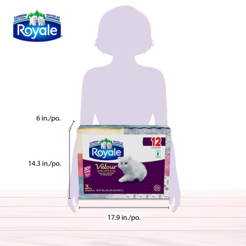 Royale Facial Tissue 3-Ply 12 Boxes x 88 Sheets