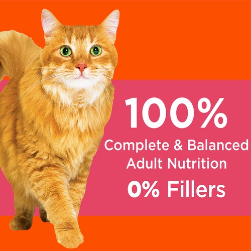 IAMS Proactive Health Dry Cat Food Healthy Adult Salmon 3.18 kg