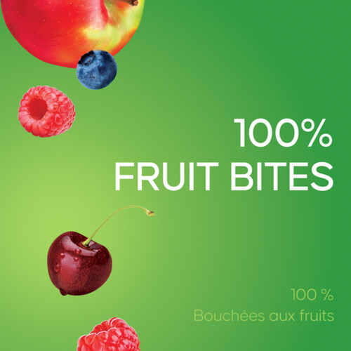 SunRype Fruitsource 100% Fruit Bites Apple Mixed Berry 170 g