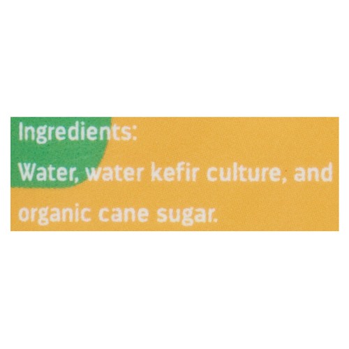 Squamish Water Kefir Company Water Kefir 1 L (bottle)