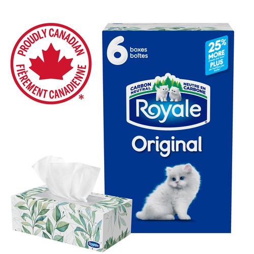 Royale Original Facial Tissue 2 Ply 6 Boxes x 126 Sheets