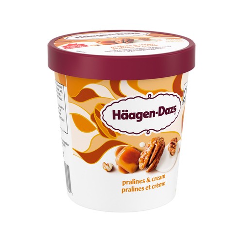 Haagen-Dazs Ice Cream Pralines & Cream 450 ml 