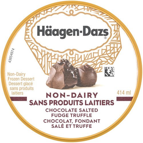 Haagen-Dazs Non-Dairy Chocolate Salted Fudge Truffle Frozen Dessert 414 ml