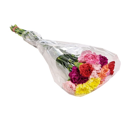 Flower Bouquet Assorted Carnation 1 Dozen Large