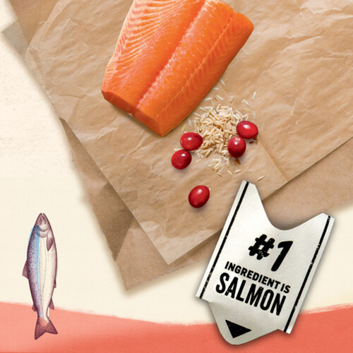 Beyond Dry Cat Food Simply Salmon & Whole Brown Rice Recipe 1.36 kg