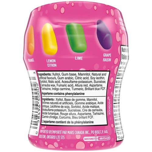 Wrigley's Hubba Bubba Sugar-Free Gum Mini Gum Skittles Flavours 40 Count
