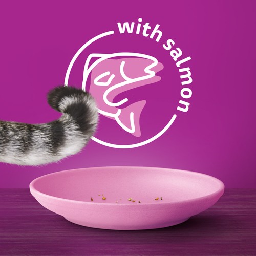 Whiskas Selections Adult Dry Cat Food With Real Salmon 4 kg