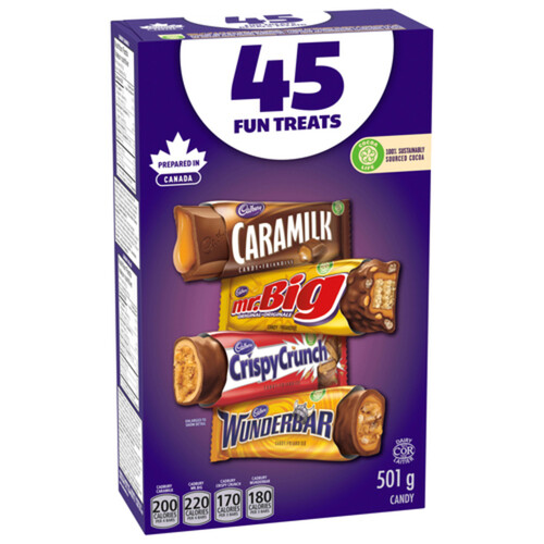 Cadbury Fun Treats Chocolate Candy Assortment 45 Bars 501 g