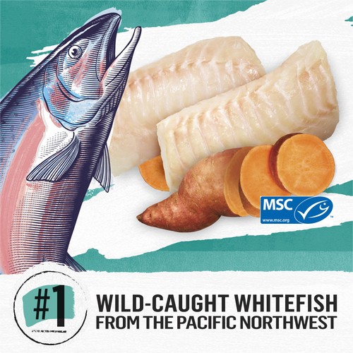 Beyond Grain-Free Dry Cat Food Wild-Caught Whitefish & Free Run Egg Recipe 2.26 kg