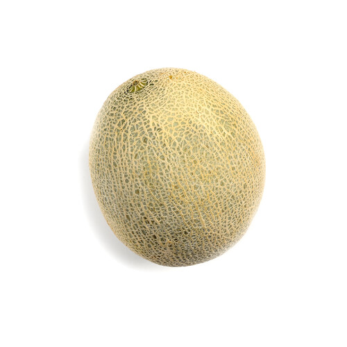 Cantaloupe Large 1 Count