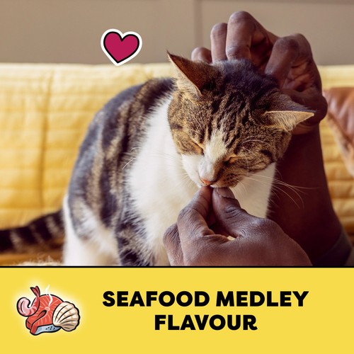 Temptations Adult Cat Treats Seafood Medley Flavour 180 g