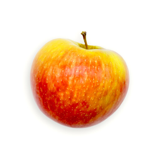 Apple Honeycrisp Large 1 Count