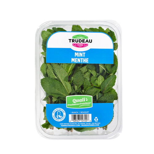 Trudeau Farms Mint 42 g