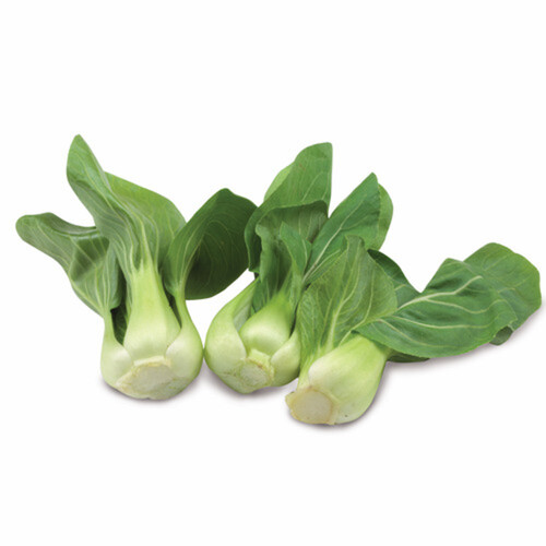 Baby Shanghai Bok Choy 454 g