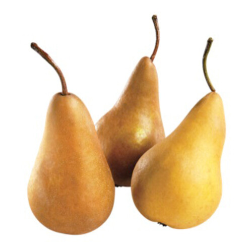 West Bosc Pears Small 