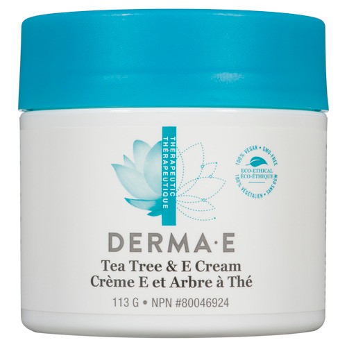 Derma E Antiseptic Cream Tea Tree And Vitamin E 113 g