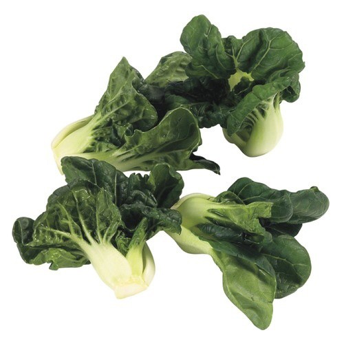 Baby Bok Choy 3 Count